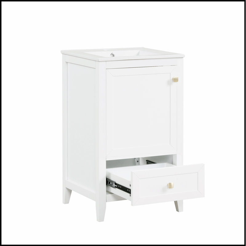 Meuble-lavabo moderne de 20 pouces avec lavabo, rangement spacieux et finition résistante à l'eau pour une organisation élégante