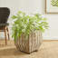 Panier en rotin Pallie-55380267