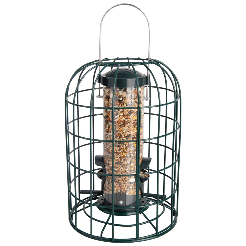 Squirrel Proof Seed Feeder