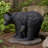 Dudey Bear Garden Statue
