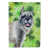 Black/Grey Schnauzer