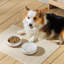 Anti-Skid Pet Bowl-114642038