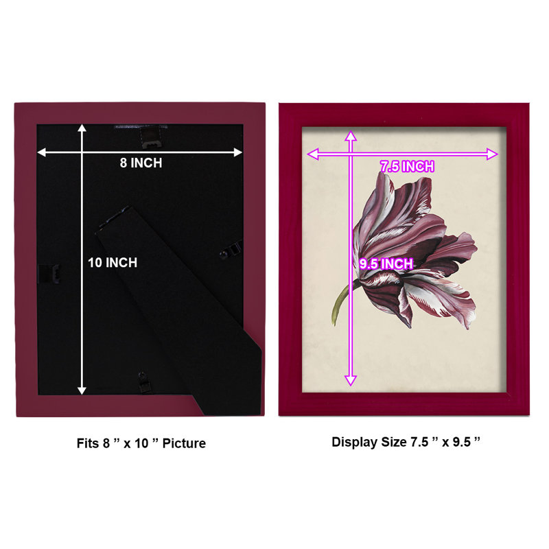 Antique Tulip Study III - Impression encadrée avec verre, Rouge, H 11 po x l 9 po x P 1 po