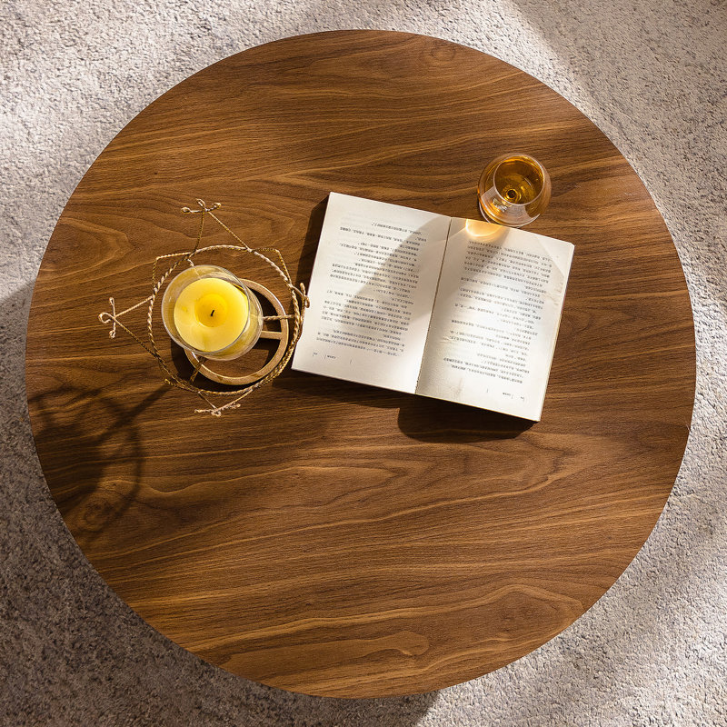 Élégante table basse ronde conçue pour le salon, la chambre à coucher et le bureau, offrant un charme rétro et une fonctionnalité moderne.