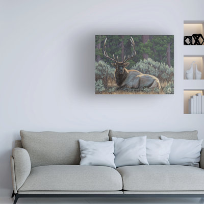 Jeff Hoff Settled In Elk Canvas Art