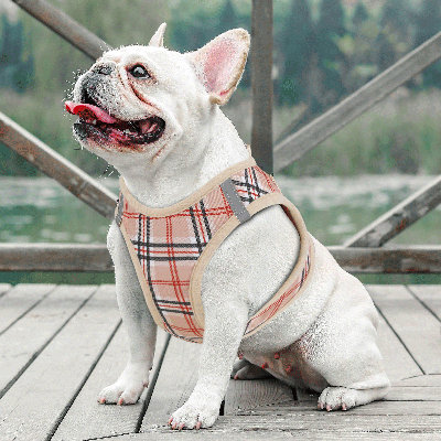 Raquelle No-Pull Mesh Dog Harness and Leash Set Adjustable Breathable Reflective Pet Vest for Safe and Comfortable Walking