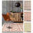 Chevella Authentic Handmade Green Reversible Geometric Shapes Ivory Wool/Cotton Blend Flatweave Indoor Area Rug-857289827
