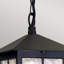 Lucia Outdoor Hanging Lantern