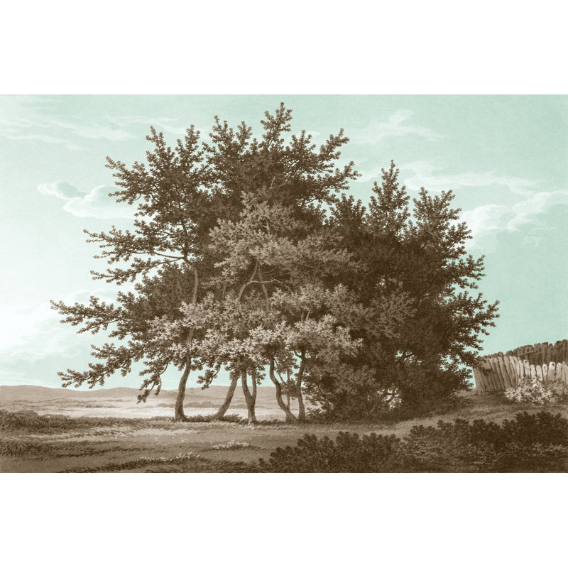 Serene Trees IV - Wrapped Canvas Print, 30cm H x 46cm W x 3.8cm D