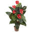 36 po Anthurium artificiel en pot
