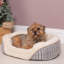 Kurtz Polyester Pet Bed-1030363117
