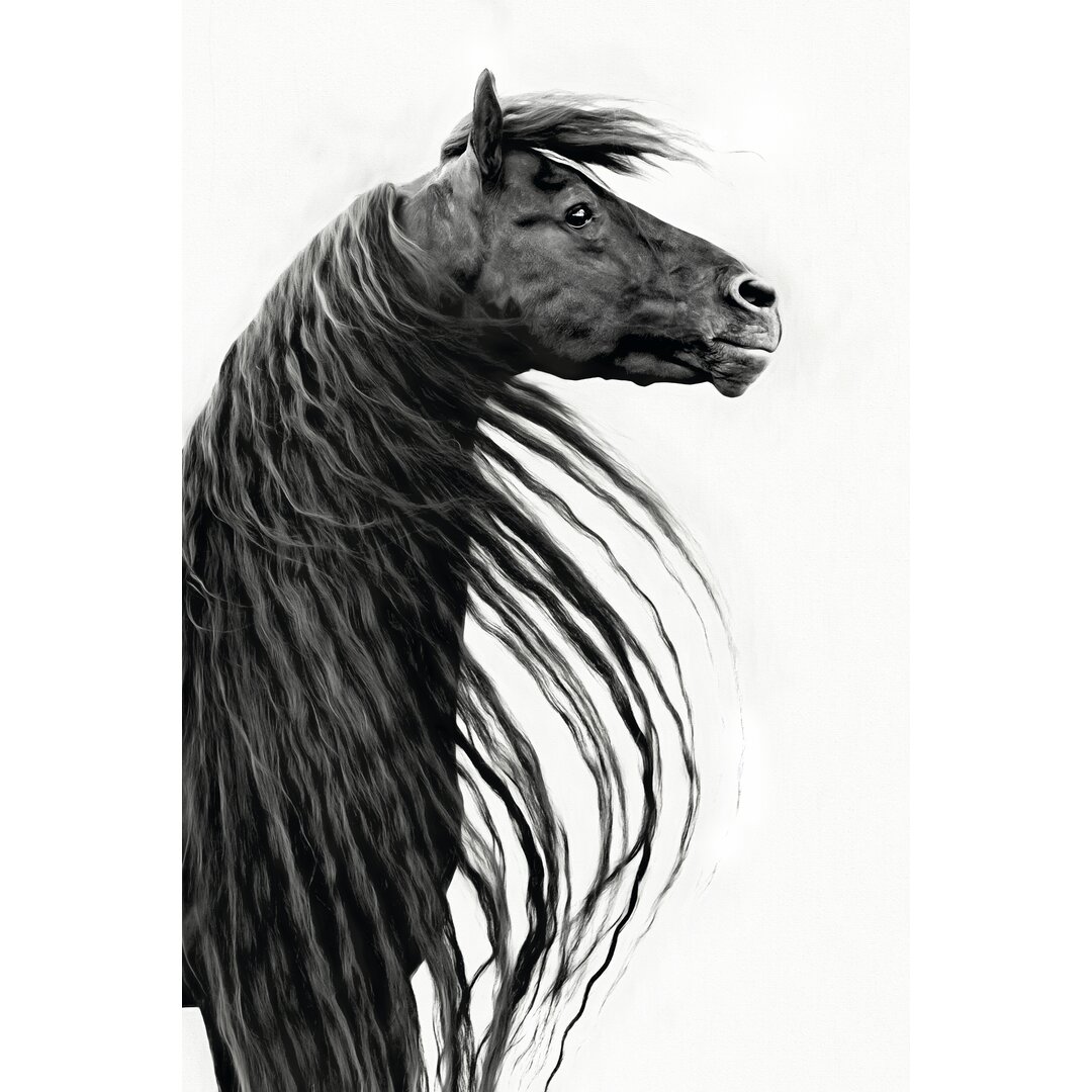 Leinwandbild Black and White Horse Portrait II von PHBurchett