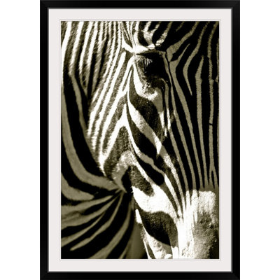 «Zebra Head», imprimé Courtney Lawhorn