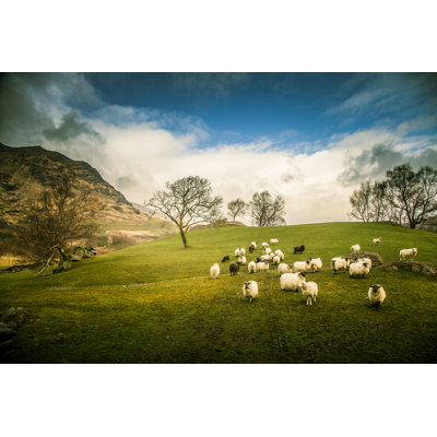 " Irish Mountain Landscape "