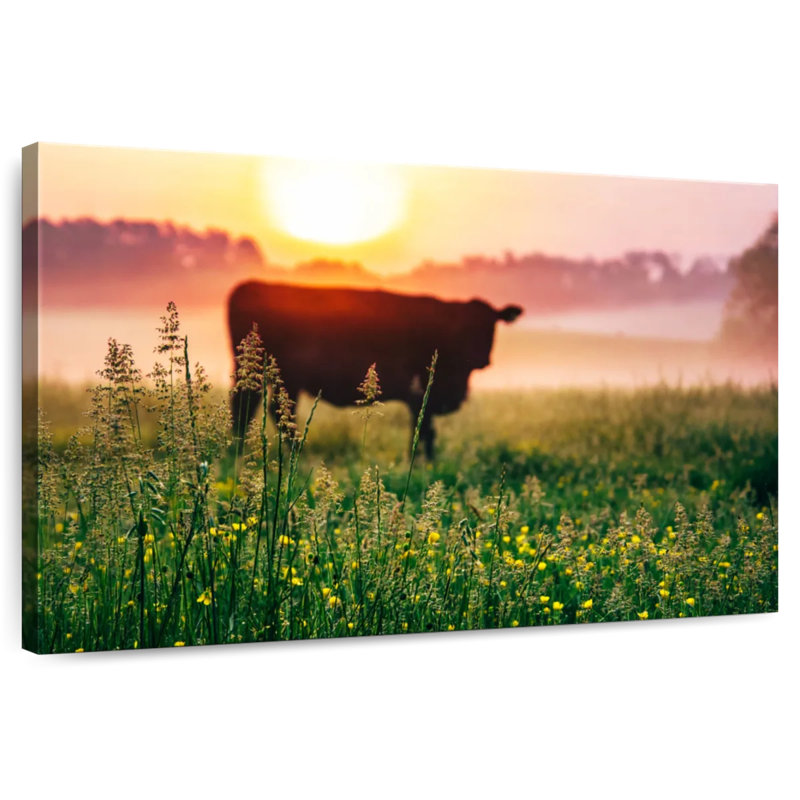 Alvord Cow Sunrise, 30" H x 45" W