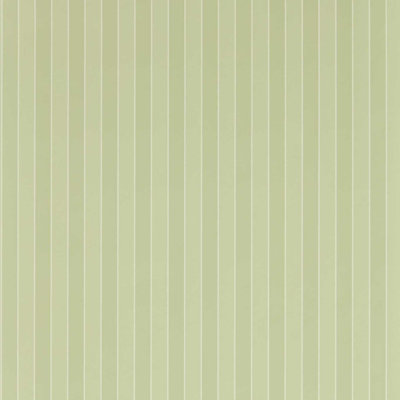 Semper Stripe