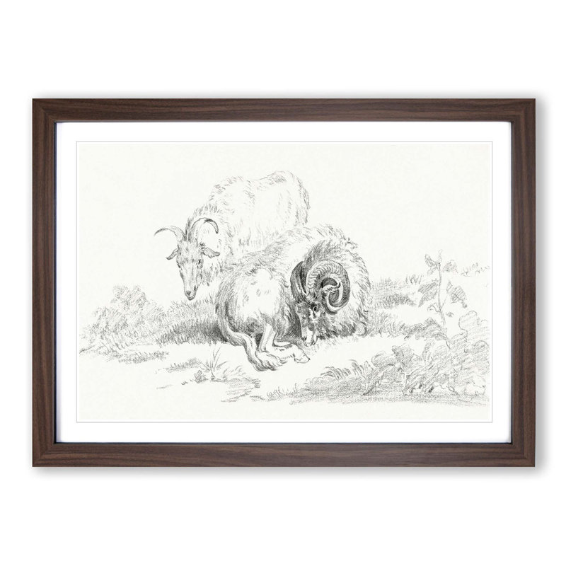 Sketch of Two Goats by Jean Bernard - Picture Frame Drawing Print, Walnut Framed, 48cm H x 65cm W x 2cm D