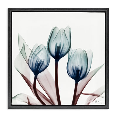 Cadre flottant chic avec tulipes translucides bleues, design par Albert Koetsier