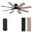 52" 8-blade Flush Mount Ceiling Fan  With Lights Remote Modern 3 Colors 6 Speeds -494076729