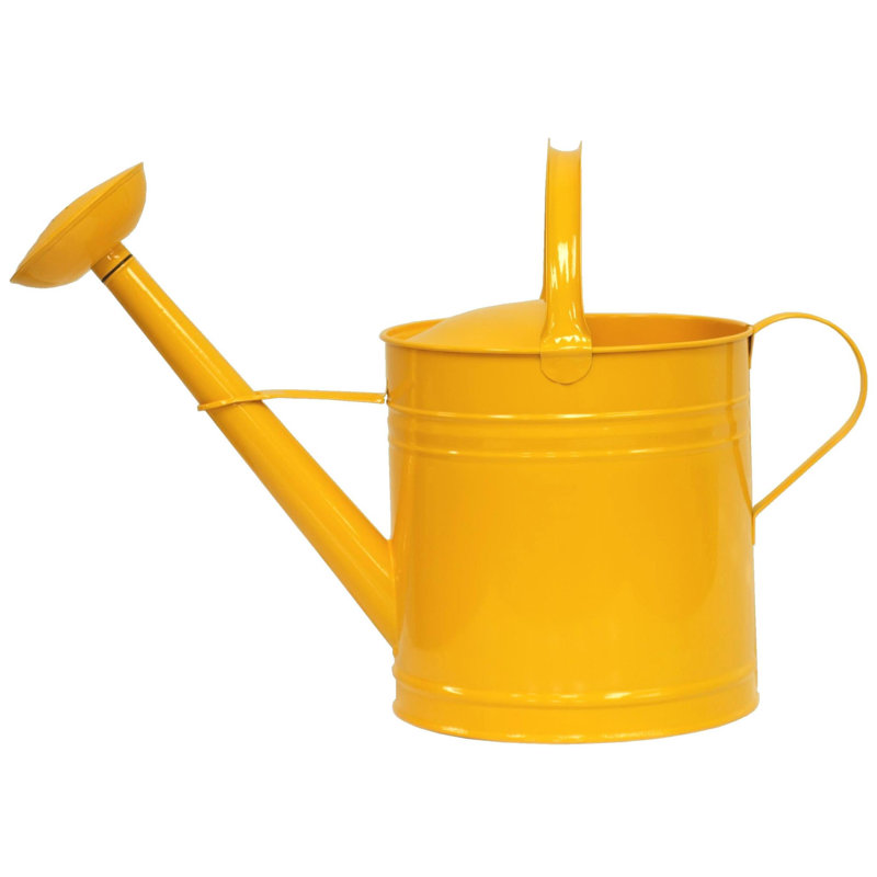 Arrosoir en acier galvanisé émaillé 2 gallons, Jaune