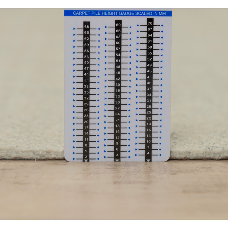 Sous-tapis Omkar, 0.125, Rectangle 4 pi x 6 pi