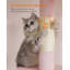 84cm H Cat Tree-104924167
