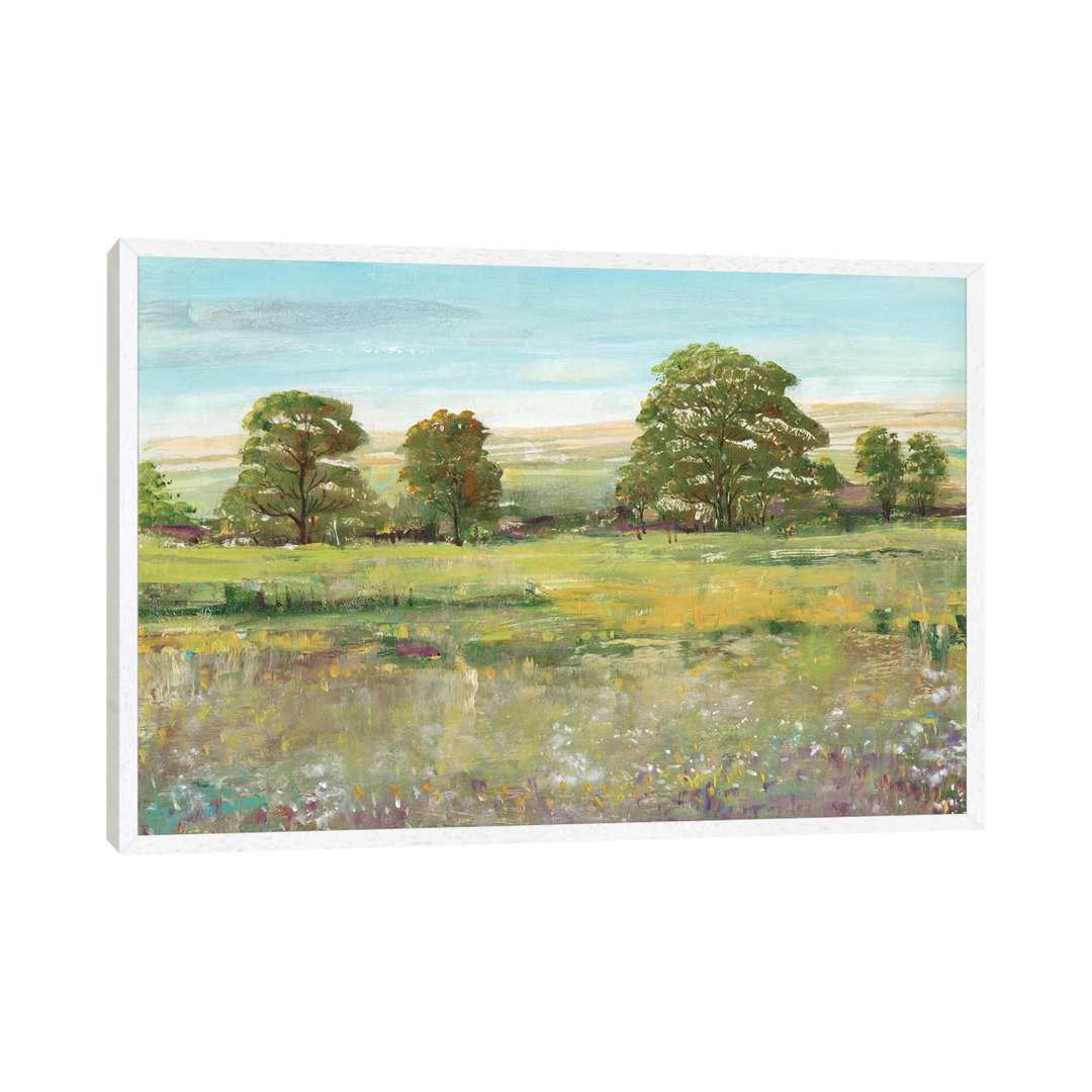 Abundant Spring II von Tim OToole - Gallery-Wrapped Canvas Giclée on Canvas