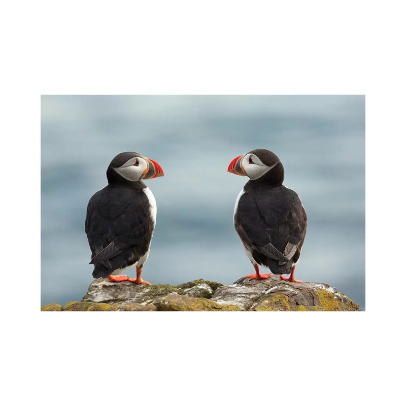 I Love You - I Love You Too by Milan Zygmunt - Wrapped Canvas Print, 20.32 cm H x 30.48 cm W