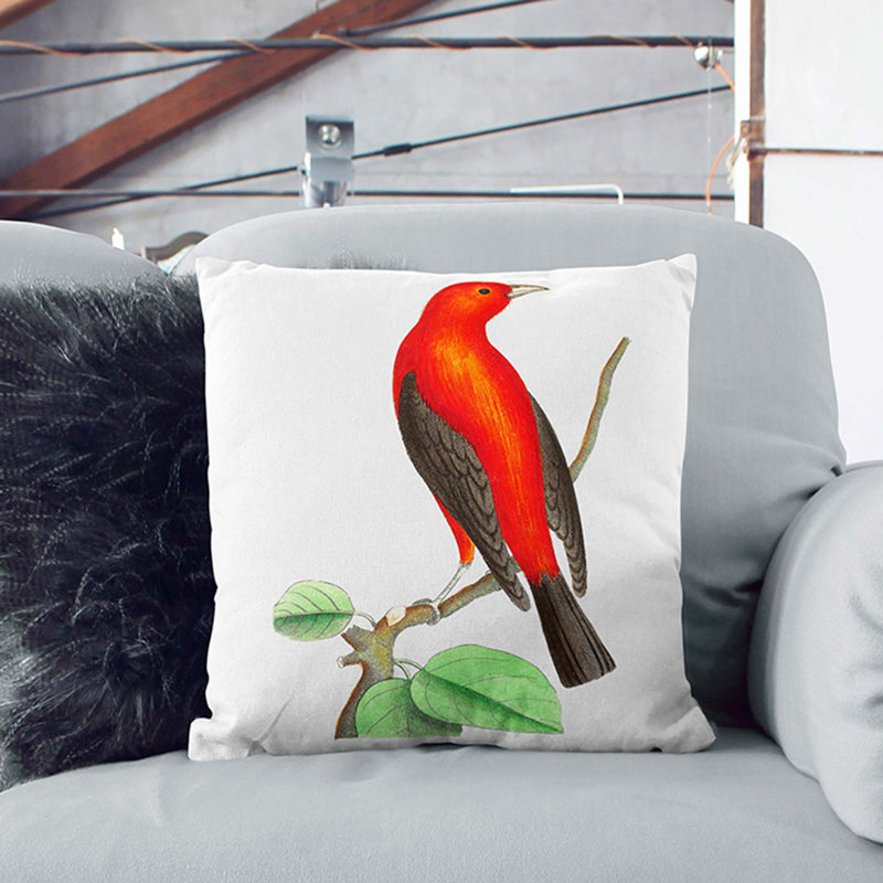 Brazilian Tanager Bird Square Throw Cushion, Stone, 55cm H x 55cm W x 20cm D
