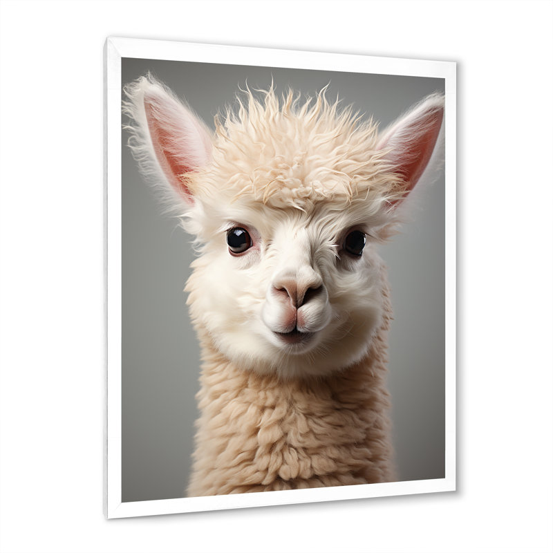 Blanc alpaga majestueux - art mural Alpaca, Cadre simple blanc, H 32 po x l 24 po x P 1 po