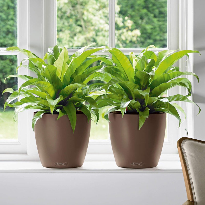 Pot à fleurs rond en plastique Classico Color 21 avec indicateur de niveau d'eau pour l'intérieur et l'extérieur, blanc