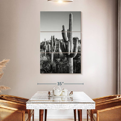 Harnek Black Arizona - Cactus Sunrise