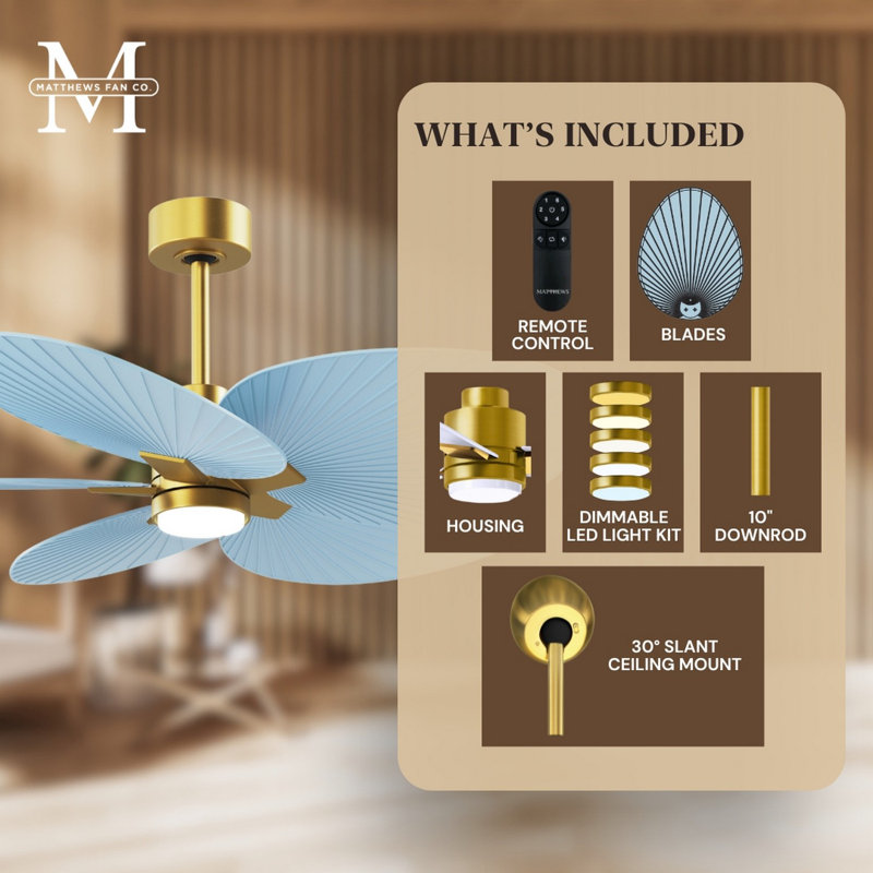Alessandra Tropical - Five Blade Ceiling Fan - Integrated LED -Matte Black Finish -Light Blue Blades, Brushed Brass
