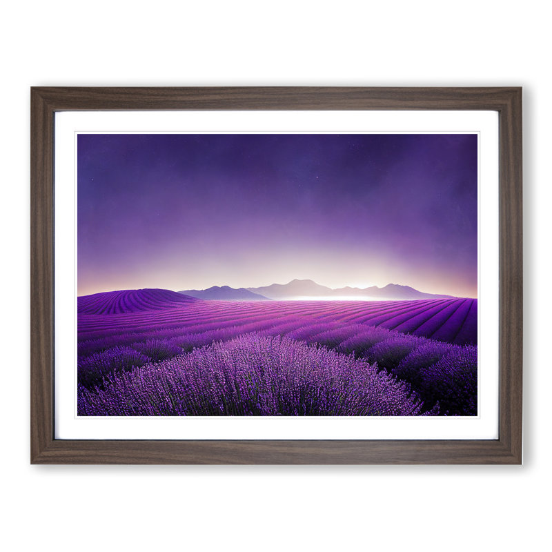 Sparkling Lavender Flower Field - Framed Print, 34cm H x 46cm W x 2cm D, Walnut