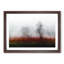Tree Fog in Switzerland - Picture Frame Graphic Art Print-56734742-56734744