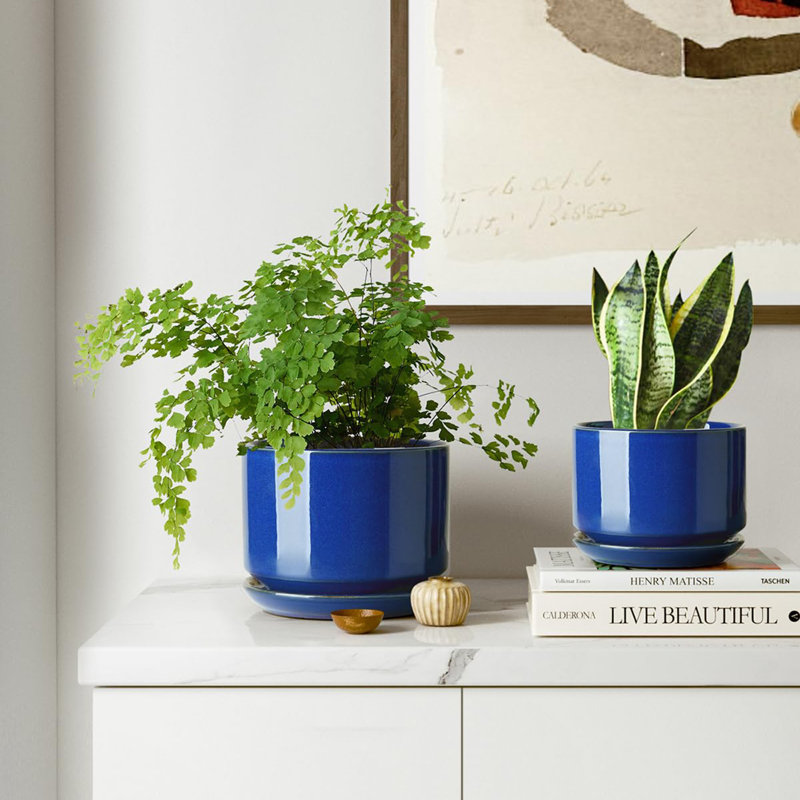 Ceramic Plant Pots with Drainage Hole and Sauce, Blue