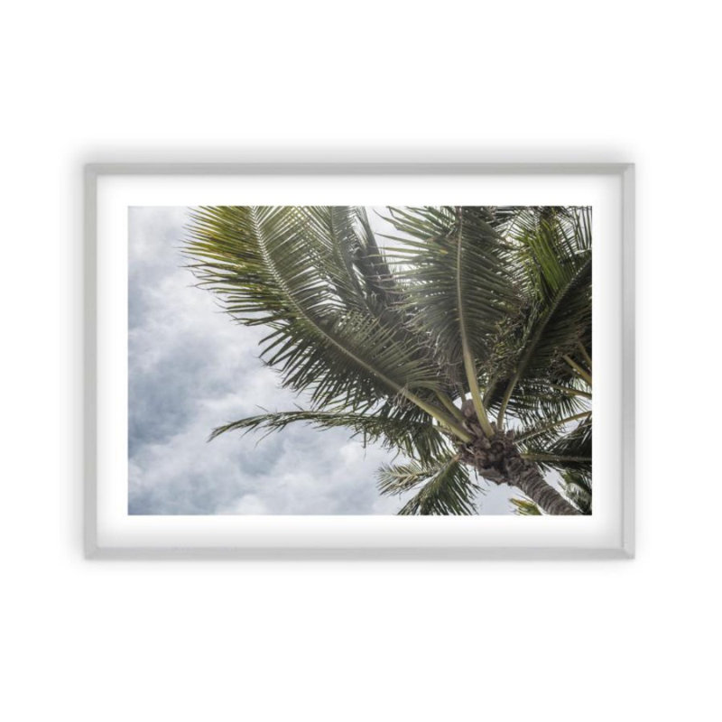 Print, Matt Silver Frame, 31 cm H x 41 cm W x 2.5 cm D