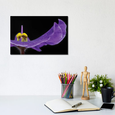 Purple Exotic Flower by Glauco Meneghelli - Wrapped Canvas Print