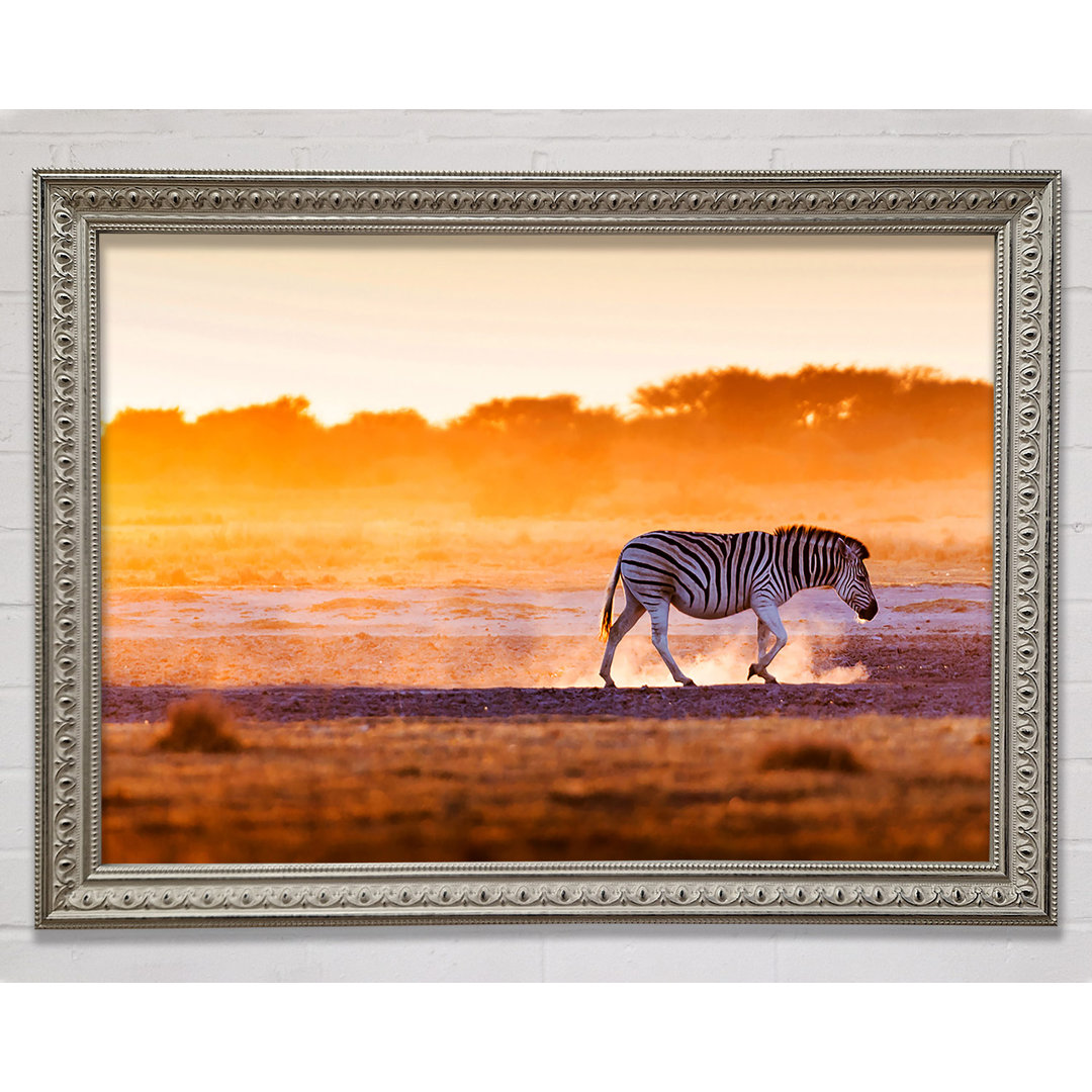 Gerahmtes Bild Zebra Roaming