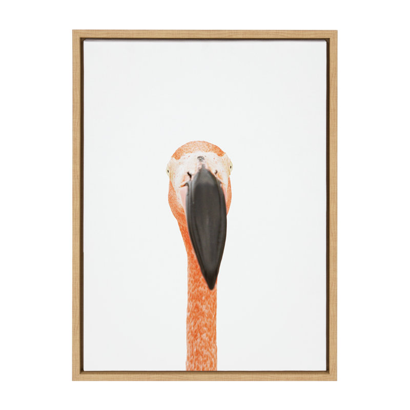 «Flamingo Portrait» par Amy Peterson, reproduction d'art sur toile encadrée, Naturel