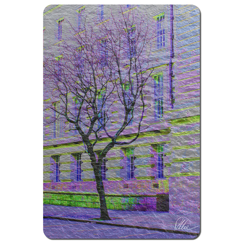 Jaleel Polyester-Coated Hardboard No Pattern Rectangle Placemat