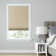 LEVOLOR Custom Cordless Light Filtering Cellular Shade, Designer Colors in Mink