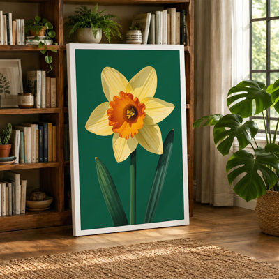 Daffodil Study Botanical - Wrapped Canvas