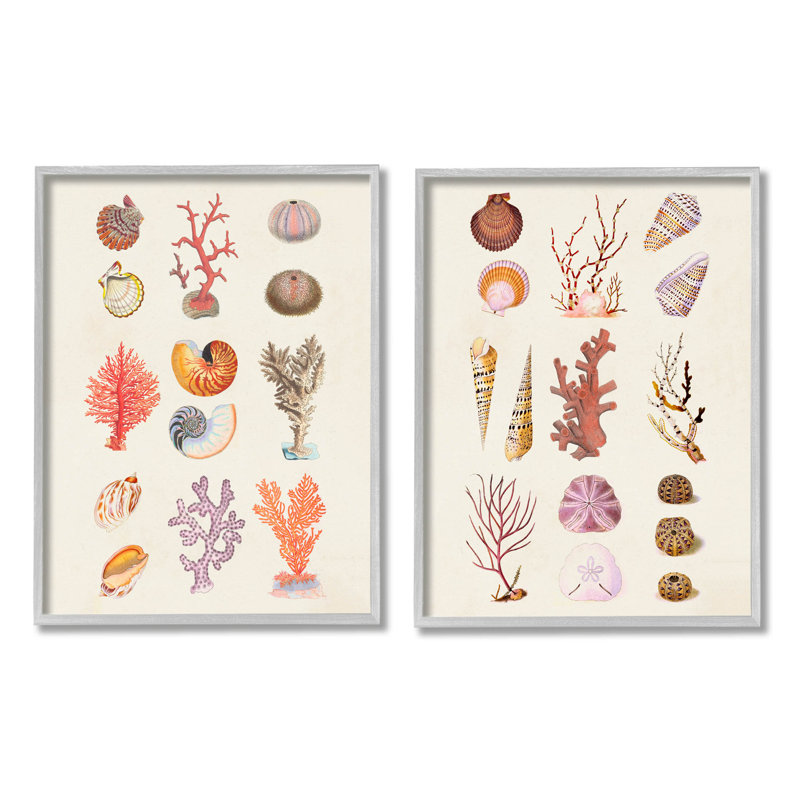 «Varied Aquatic Sea Life» par Vision Studio - ensemble de 2 impressions sur bois, H 20 po x l 32 po x P 1,5 po, Gris