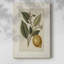 «Vintage Floral Print», encadré sur toile-1329703492