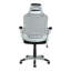 Kariya Mesh Desk Chair-173130772