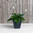 Alaunah Pot Planter-856830644-840690739