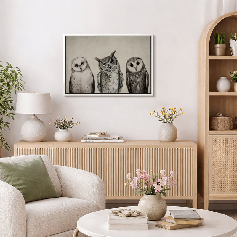 "Bird Birds", variété de chouettes, encadrée sur toile, Blanc, H 24 po x l 36 po x P 1,5 po