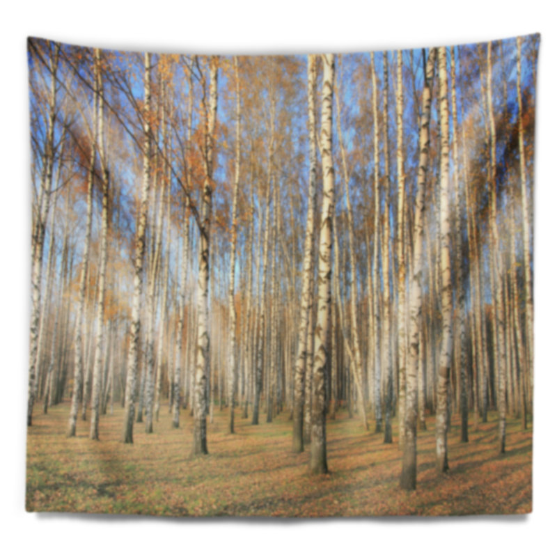 Tapisserie de forêt d'automne avec bouleau au soleil, H 50 po x l 60 po
