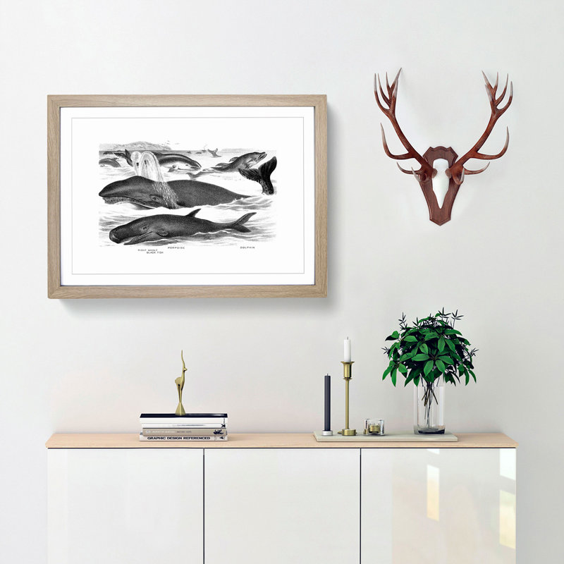 Whales & Dolphins by John Karst - Framed Print, 36cm H x 48cm W x 2cm D, Oak Framed